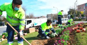 Se Requieren 15 Jardineros con o sin Experiencia – ¡Ingreso Inmediato!